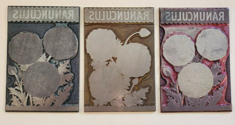 (3) Etching Engraved Metal Printing Machine Press Plate Stamp ~ Ranunculus Ranunculus