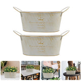 2 Pcs Iron Flower Pot Indoor Pots for Plants Office Bucket Garden Outdoor Garden Plants