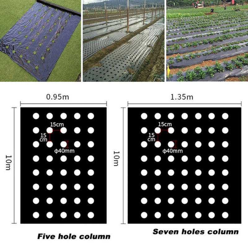 Perforated PE mulch ground cover sheet with drainage holes, 0.95/1.35 m, 40 mm holes