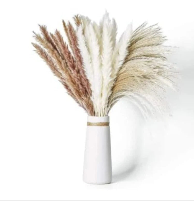 UQ Pampas Grass Home Decor, Dried Flower, 45 Pcs Pampas Grass