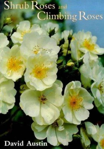 Shrub and climbing roses book cover with white blossoms and yellow centers, David Austin