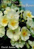 Shrub Roses and Climbing Roses by Austin, David Roses