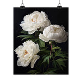 White Peony Flowers Poster, White Flower Art Print, Floral Artwork 17 Peony
