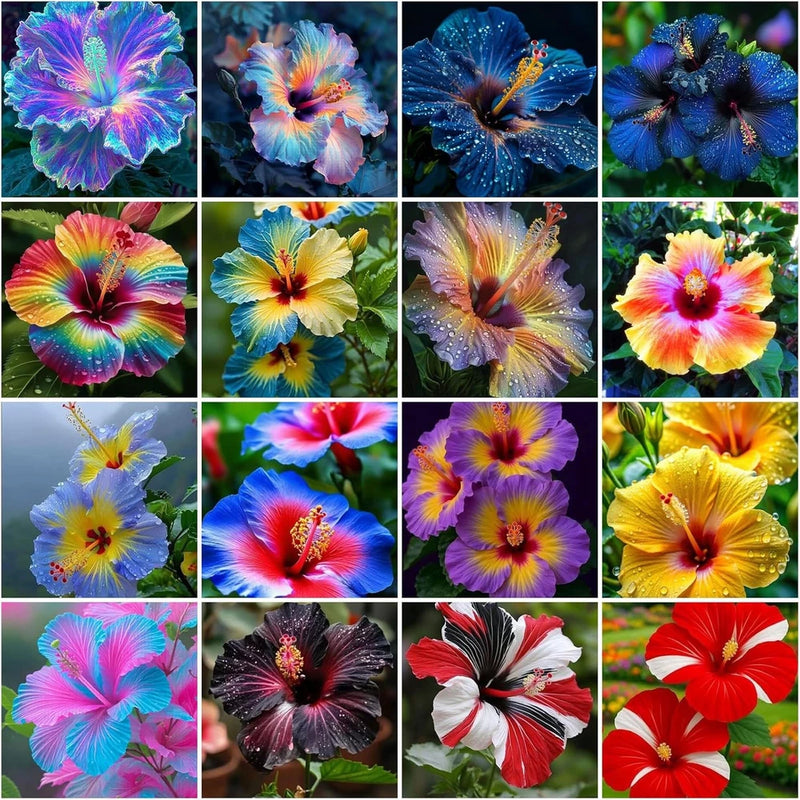 115+ Mixed Perennial Hibiscus Flower Seeds for Planting - Fresh Hardy Hibiscus Flowering Plants