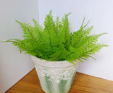 6 Pcs Artificial Plant Small Plastic Boston Fern Tree Grasses Green Plant