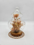 Vintage Floral Cloche Dome Freeze Dried VHD Carnation