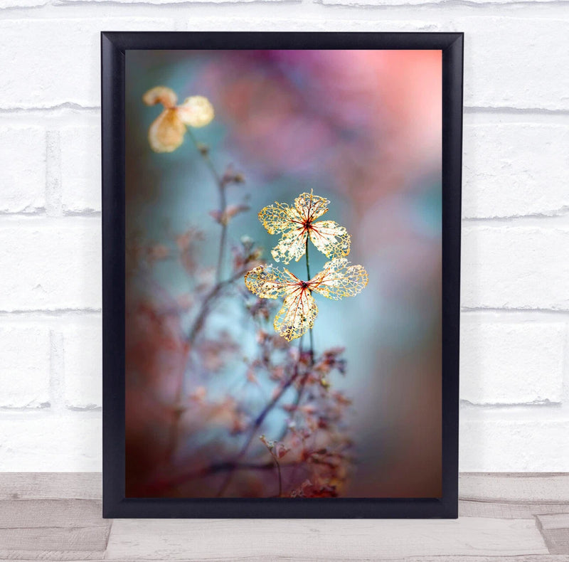 Hydrangea Flowers Close-Up Fragility Flower Flora Floral Wall Art Print Hydrangea