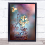 Hydrangea Flowers Close-Up Fragility Flower Flora Floral Wall Art Print Hydrangea