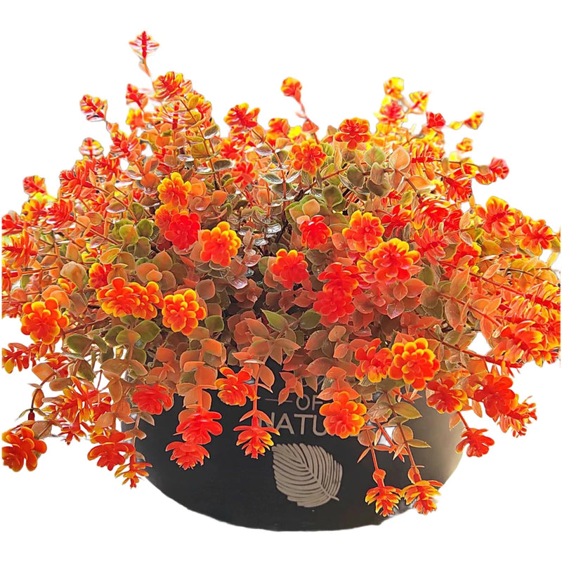 7 Piece Autumn Artificial Flowers Eucalyptus Camellia Daisy Home Decor Set Daisies