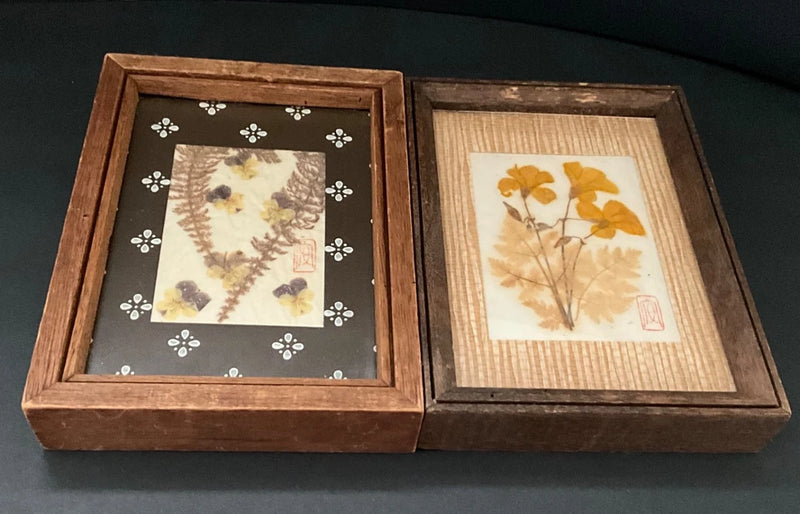 Pair of vintage wood picture frames with pressed dried flowers, dark and beige backgrounds