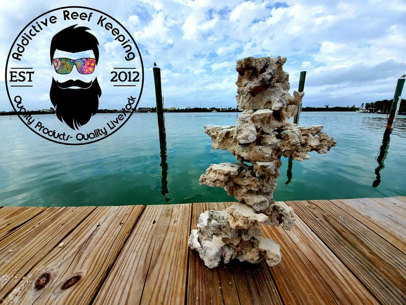 5lbs.Tower Blox Dry Shelf Rock Aragonite, Lightweight, Porous, Aquariums Live Anemone