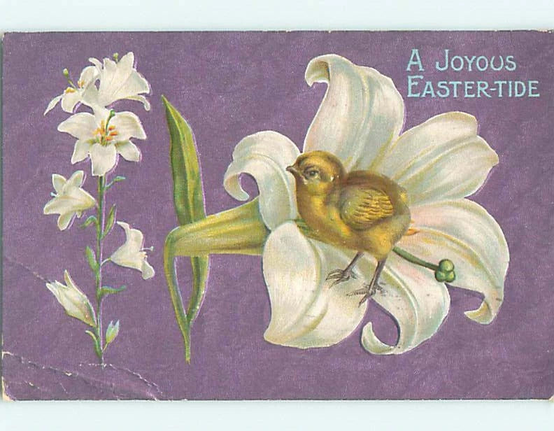 Divided-Back easter CHICK ON AN EASTER LILY FLOWER : make an offer r3527 Lily
