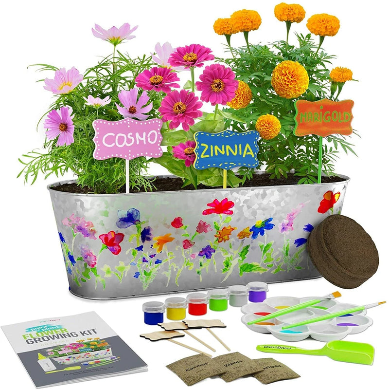 Paint & Plant Flower Growing Kit-Grow Your Own Cosmos, Zinnia & Marigold Flowers Flowering Plants