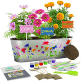 Paint & Plant Flower Growing Kit-Grow Your Own Cosmos, Zinnia & Marigold Flowers Flowering Plants