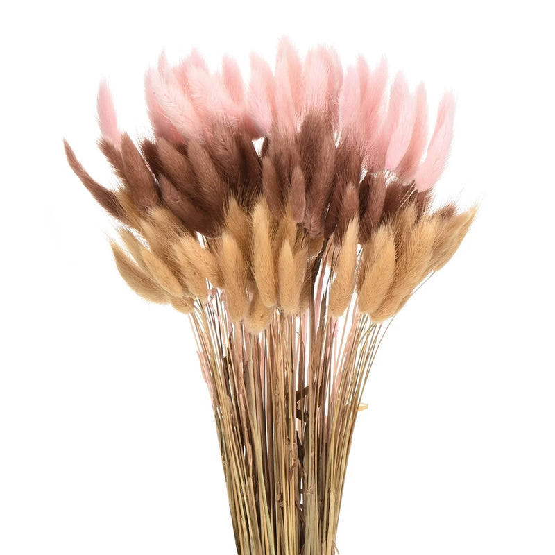 Natural bunny tails dried flowers bouquet, fluffy pink and brown stems