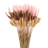 120pcs Natural Bunny Tails Dried Flowers 17" Beige, Dark Pink, Dark Brown Red Dried Flower