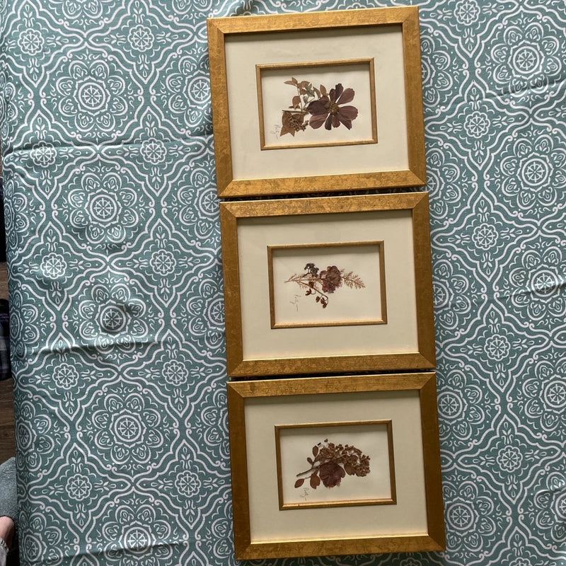 Set of 3 gold framed pressed flower prints with glass covers, stacked with brown dried blooms
