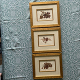 Lot of 3 Framed Pressed Dried Flowers In Gold Frame And Glass Cover Dried Flower