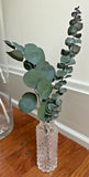 Dried Eucalyptus Flower Arrangement, Dried Eucalyptus With Vase, Centerpieces Dried Flower