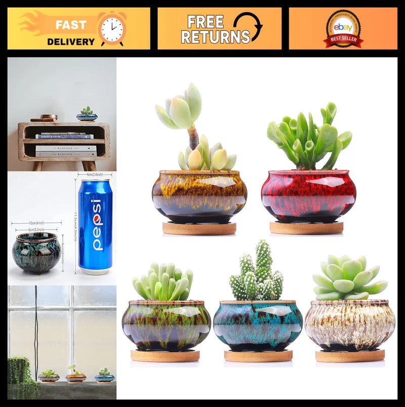 "Set of 5 Cute Ceramic Succulent Planters with Drainage & Saucer - Garden Pots" Garden Plants