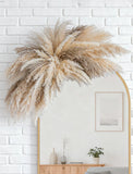 DIY Pampas Grass Wall Decor Boho Kit Pampas Grass