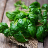 300 SWEET BASIL SEEDS NON - GMO  FRESH HARVEST FOR GARDENS Garden Plants