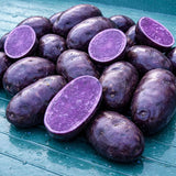 Purple Majesty Seed Potatos for Planting - Garden (3 Pounds) Garden Plants