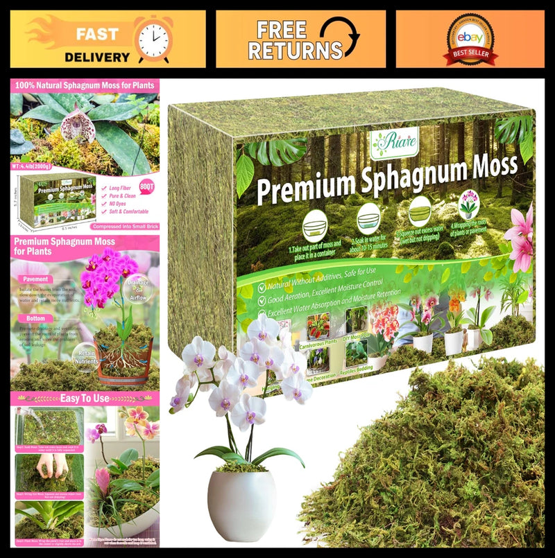 Natural dried sphagnum moss for plants in retail bag with orchid decor
