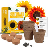 Sunflower Seed Growing Kit -All in One Sun Flower Garden Kit - A Complete Sunflo Sunflower