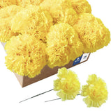 Royal Imports Artificial Carnations, Silk Faux Flowers, for Funeral Arrangeme... Carnation