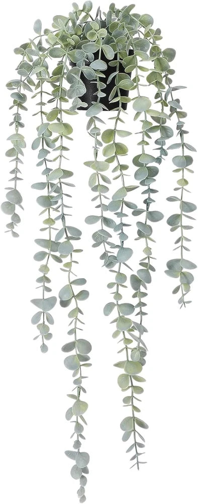 Artificial hanging eucalyptus plant with trailing leafy green stems