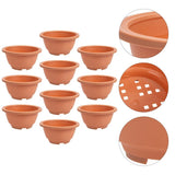 10 Pcs Succulent Pots Planter for Succulents Flower Garden Nursery Garden Plants