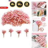 Dried Baby Breath Flowers Pink White Bouquets Bulk Wedding Decor Craft Supplies Dried Flower