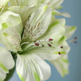 Set of 2 Green and Cream Artificial Alstroemeria Peruvian Lily 12" Bundles Green Plant