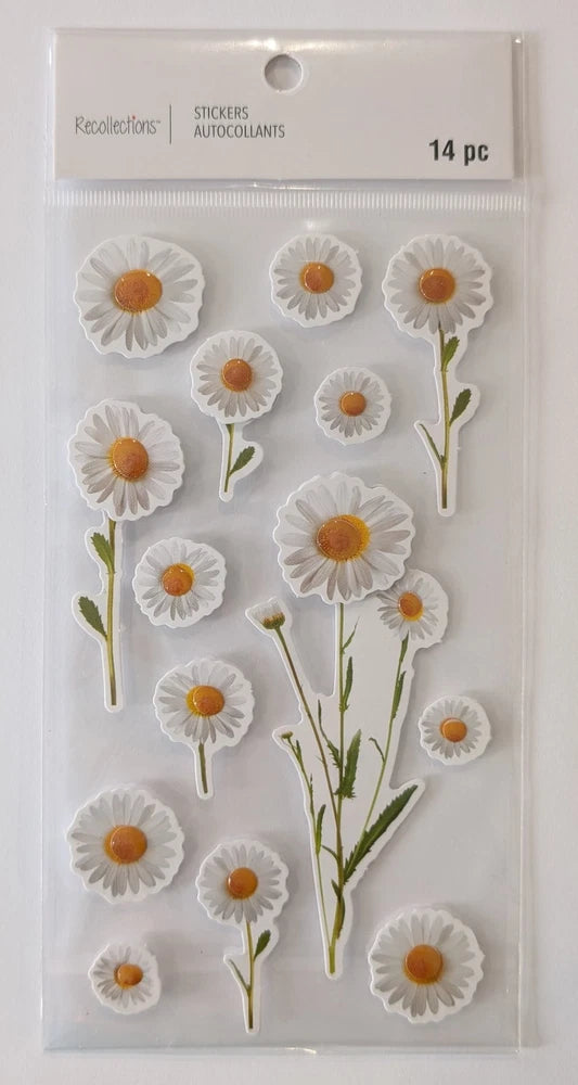 White Daisies Daisy Flowers Scrapbooking Stickers by Recollections Daisies