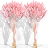 120 PCS Pink Dried Pampas Grass Decor, 17-inch Pompas Floral, Dry Pampas Grass