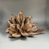 Vickerman Natural Star Pod 15