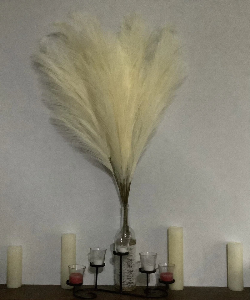 Boho Aesthetics Faux Pampas Grass 5 Pieces Cream #HG8 Pampas Grass