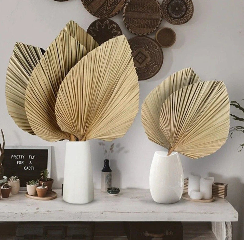 Set of natural sun-dried palm leaves, fan-shaped boho home decor pieces