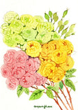 Original ACEO Watercolor Ranunculus Flowers OOAK Miniature Floral Art Ranunculus
