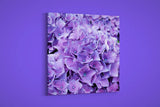 Artographie - Purple Hydrangea - Art Print on Paper or Canvas Hydrangea