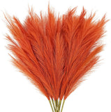 8Pcs Orange Pampas Grass Tall, 35
