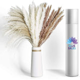 Ellis Sales 60pcs Natural Dried Pampas Grass 3 Bundles, Bouquet Arrangement Pampas Grass
