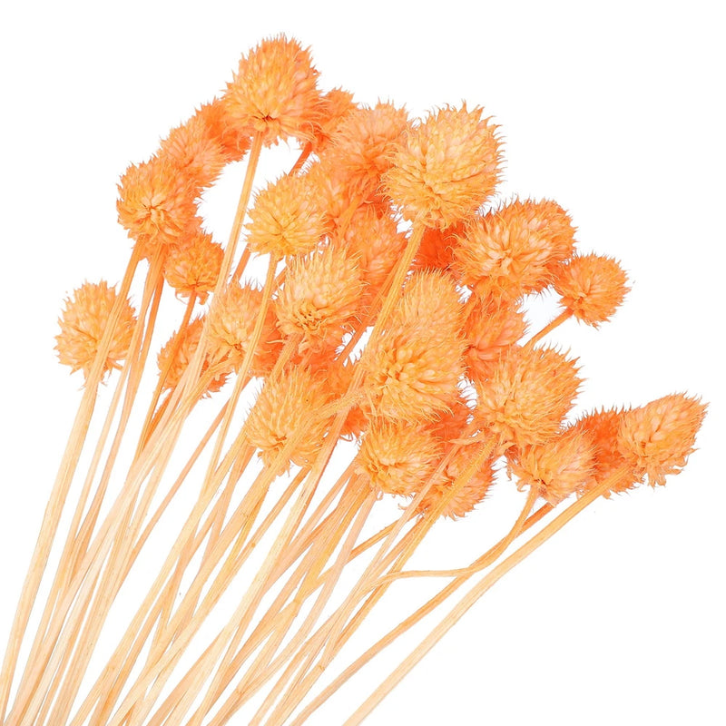 30 Pcs 16 Inch Dried Flowers for Vase Mini Pine Ball Flowers Orange(Stem) Dried Flower