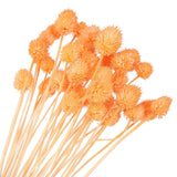 30 Pcs 16 Inch Dried Flowers for Vase Mini Pine Ball Flowers Orange(Stem) Dried Flower