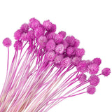 60 Pcs 16 Inch Dried Flowers for Vase Mini Pine Ball Flowers Rose Red(Stem) Dried Flower