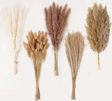 Natural Dried Pampas Grass Decor 110 PCS with White Bunny Tails Pampas Grass