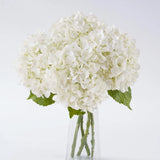 BonBloom's 21" Real Touch White Hydrangea Artificial Flowers, 4 Pcs Latex Fau... Hydrangea