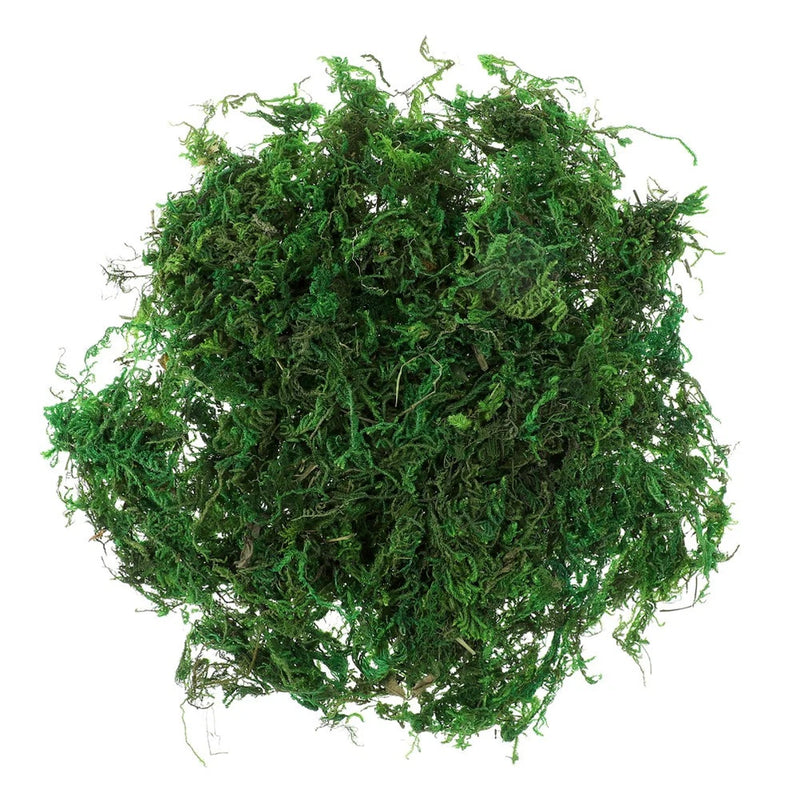 Plant Crafts Preserved Moss for Decoration Artificial Decorating Green Plant