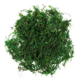 Plant Crafts Preserved Moss for Decoration Artificial Decorating Green Plant